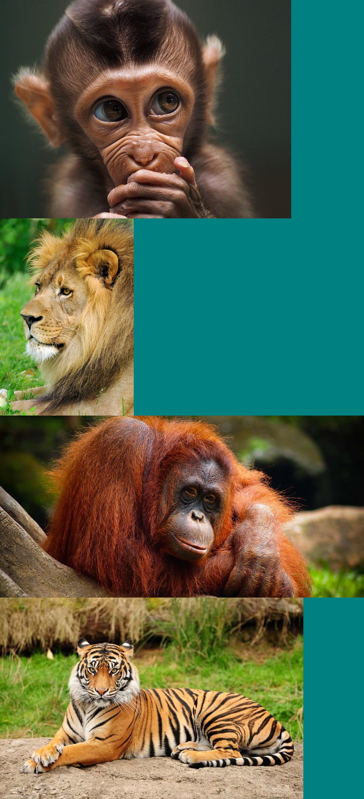 Batch Image Combiner 2