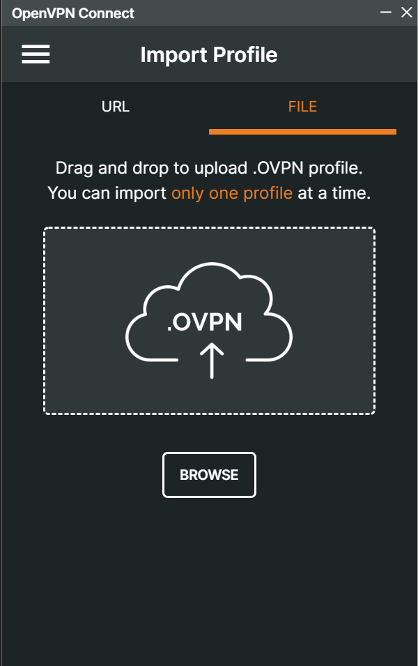 OpenVPN 2