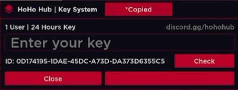 Getting HoHo hub access key