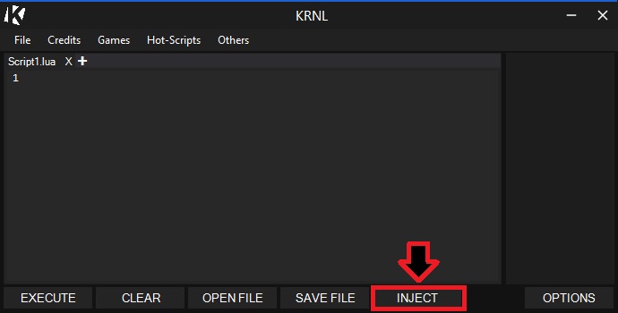 Injecting Krnl into Roblox