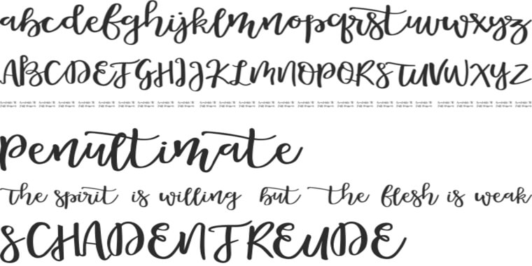 Letters Overview of Morable Font