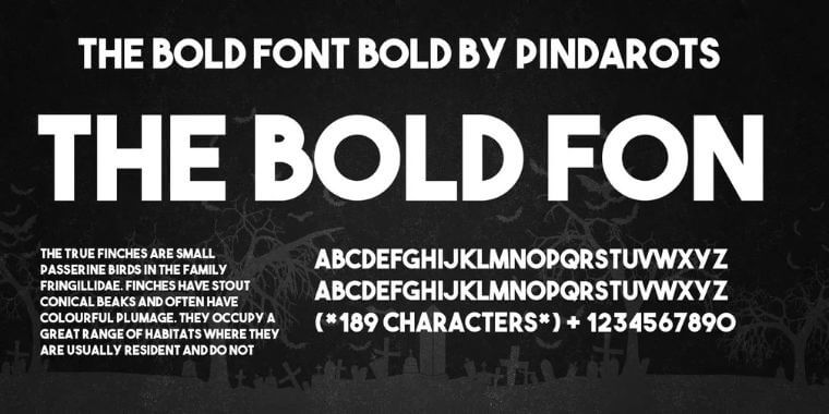 Letters Overview of The Bold Font