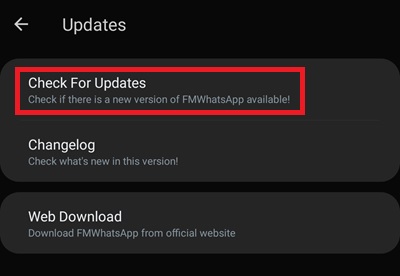 FM WhatsApp checking for updates inside Updates option menu