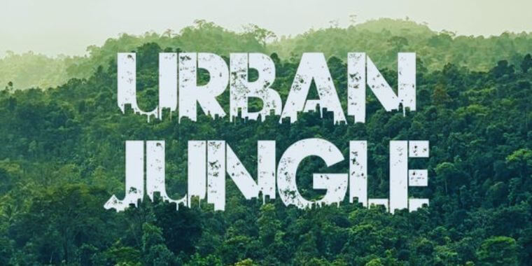 Appearance of Urban Jungle Font