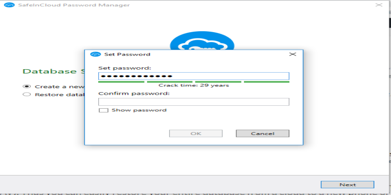 Setup Password in SafeinCloud for windows