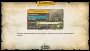 Accessory Items in One Piece Odyssey