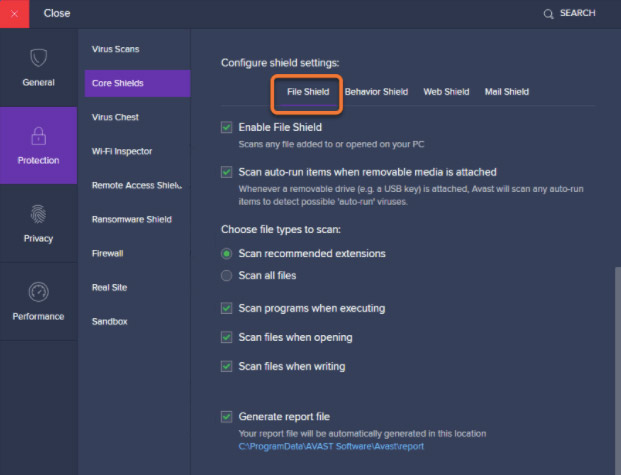 Avast File Shield Enable OR disable