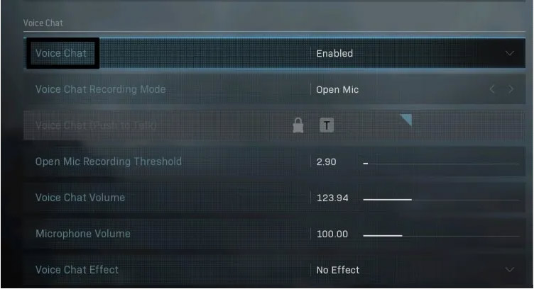Warzone Voice Chat Enabled 