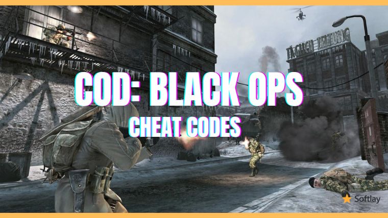 Call of Duty Black Ops Cheats For PC & PS3 
