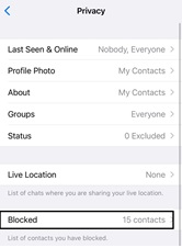 Check If You Are Blocked by Others on WhatsApp