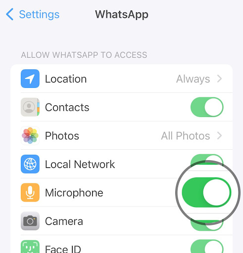 Check if WhatsApp has permission to use mic