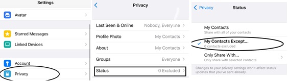 Check the iPhone Privacy Setting