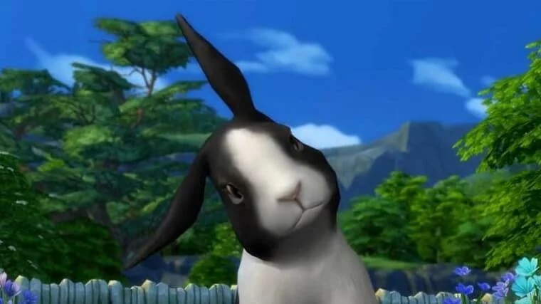 Death by rabbits
