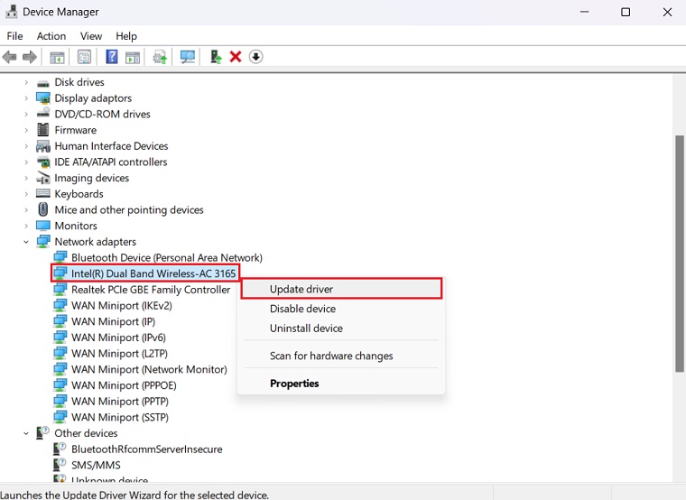 Network Adapters Menu In Device Manager.