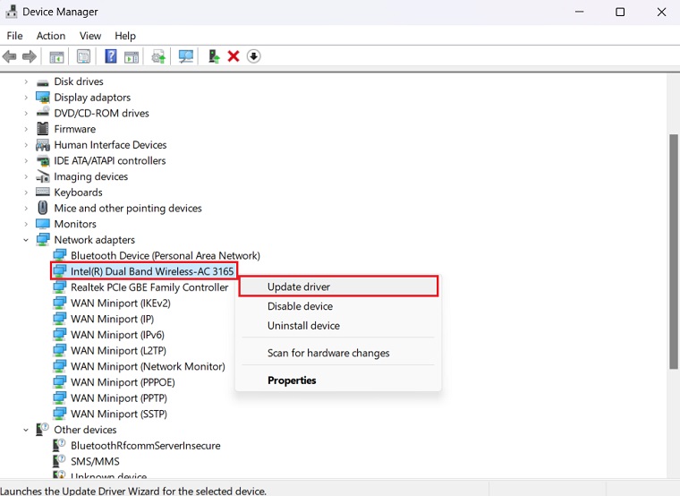 Network Adapters Menu In Device Manager.