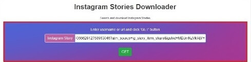 How to Download Instagram Stories Online on PC/Mac?