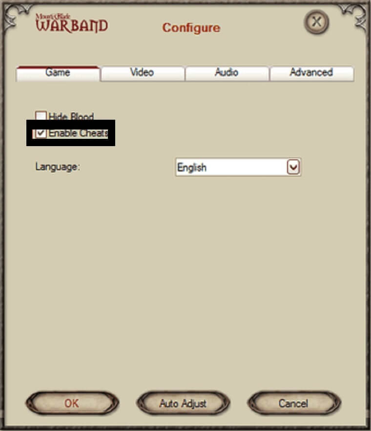 Enable Cheats in Mount & Blade Warband.