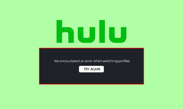 Fix: Hulu We Encountered an Error When Switching Profiles