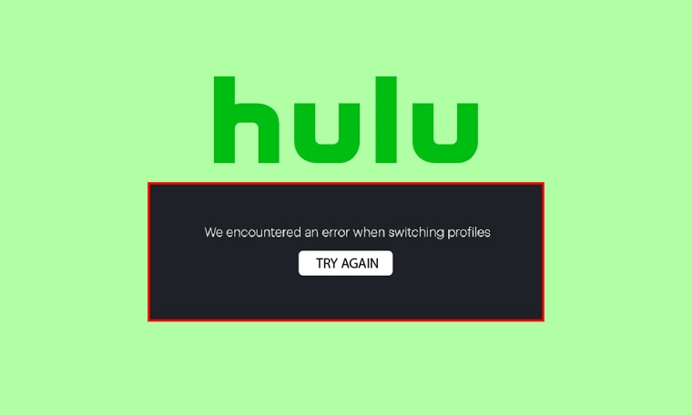 Hulu We Encountered an Error When Switching Profiles