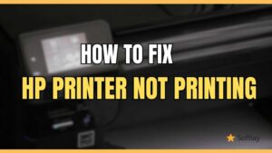 How To Fix HP Printer Not Printing