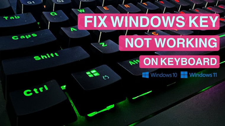 How to Fix Windows Key Not Working on Windows 11/10