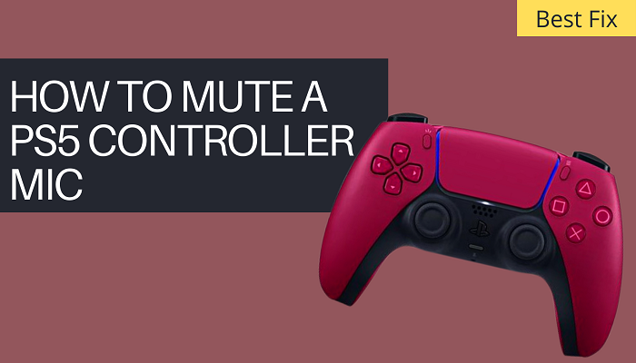 How to Mute a PS5 Controller Mic