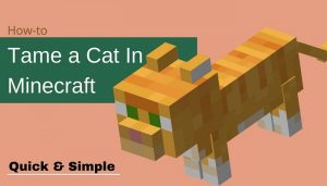 How to Tame a Cat in Minecraft - Complete Tutorial (2021)