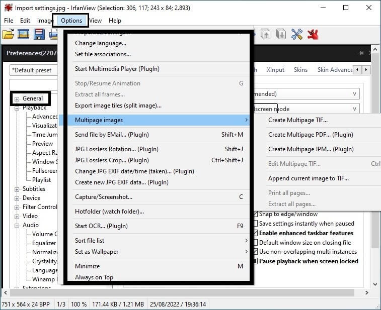 How To Download and Install Irfanview Plugins?