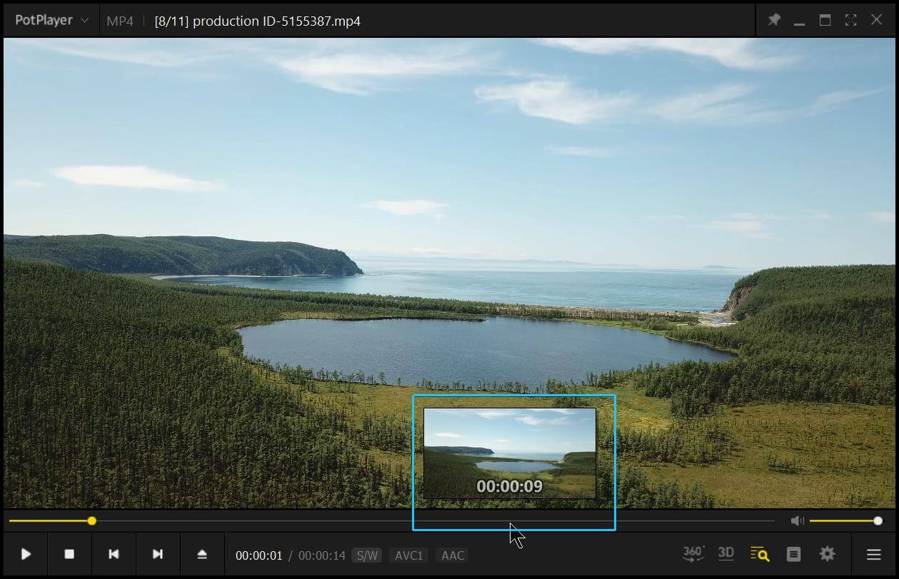 How to make Potplayer resume playback