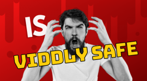 viddly youtube downloader safe