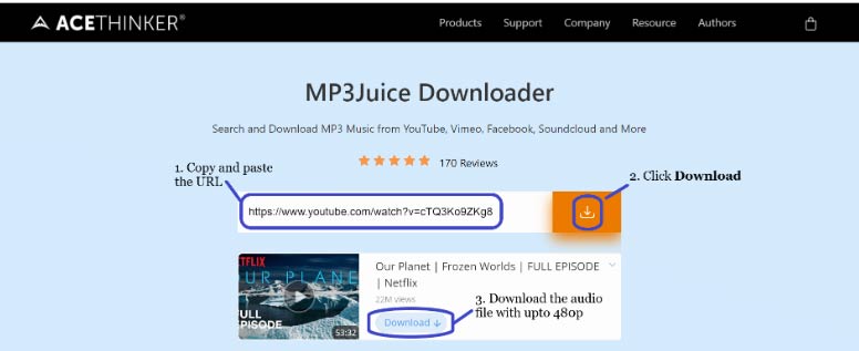 AceThinker MP3 Juice Downloader for Windows 