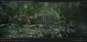 Navigate Frame by Frame on Daum PotPlayer