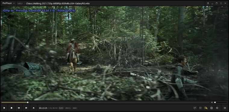 Navigate Frame by Frame on Daum PotPlayer