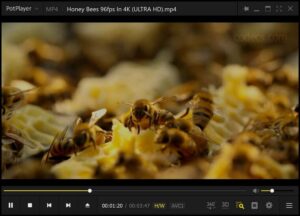 How To PotPlayer Zoom in/out Video Output Size Options