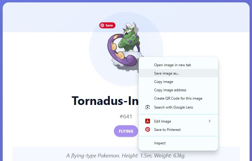 How to Use Random Pokémon Generator?