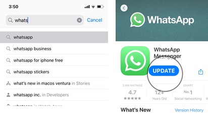 Update WhatsApp on iPhone