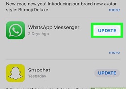 Update WhatsApp on iPhone