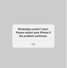 WhatsApp Couldn't Start Please Restart Your iPhone