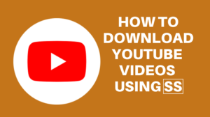 How to Download YouTube videos via SS-YouTube?