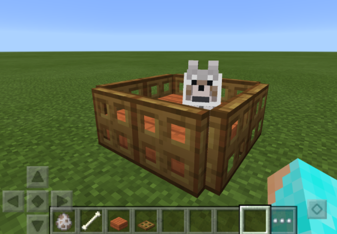 How to Tame a Cat in Minecraft