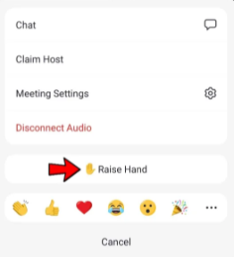 Raise Hand in Zoom Meeting so your Queries Can be Acknowledged