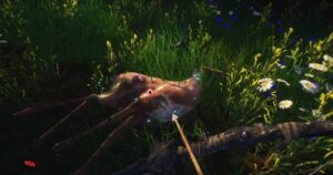 How to Hunt in Black Forest in Blacktail
