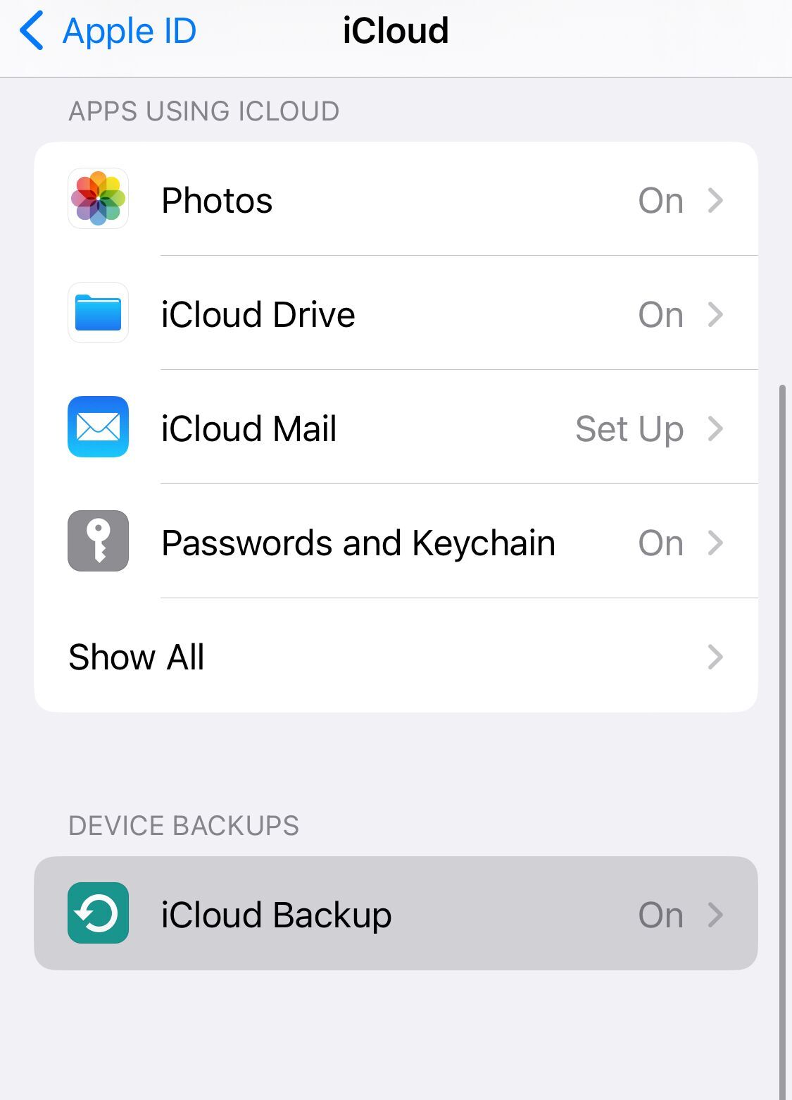 Set iCloud backup