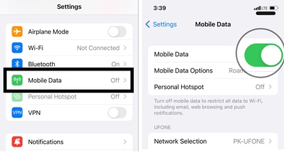 iPhone has internet connection via mobile data