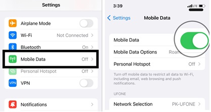 iPhone has internet connection via mobile data