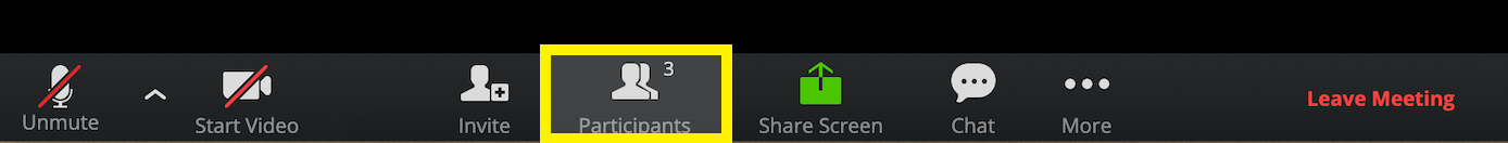 Raise Hand in Zoom Meeting so your Queries Can be Acknowledged