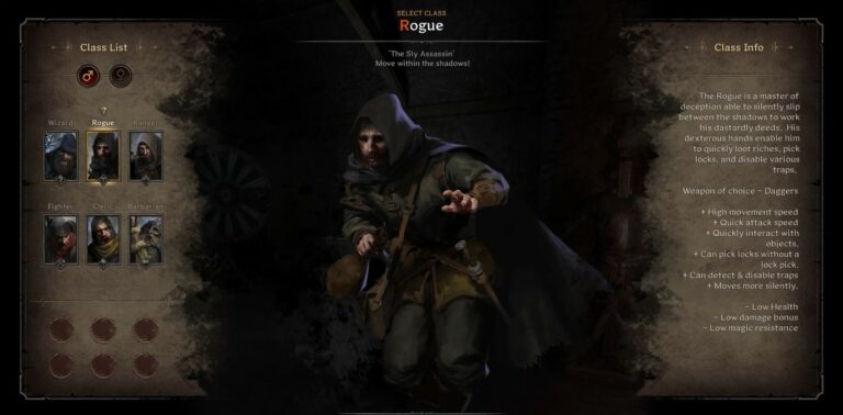 Dark and Darker rogue build