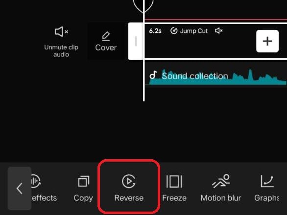 Reverse a clip on capcut 2024
