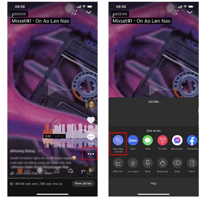 How to download Tik Tok videos without logo with SnapTik